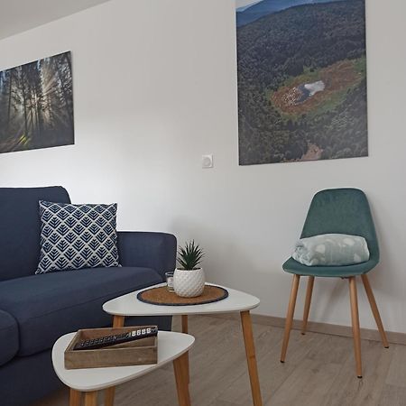 Chalet Kelly, Centre Ville / Jacuzzi / Sauna Gérardmer Zewnętrze zdjęcie