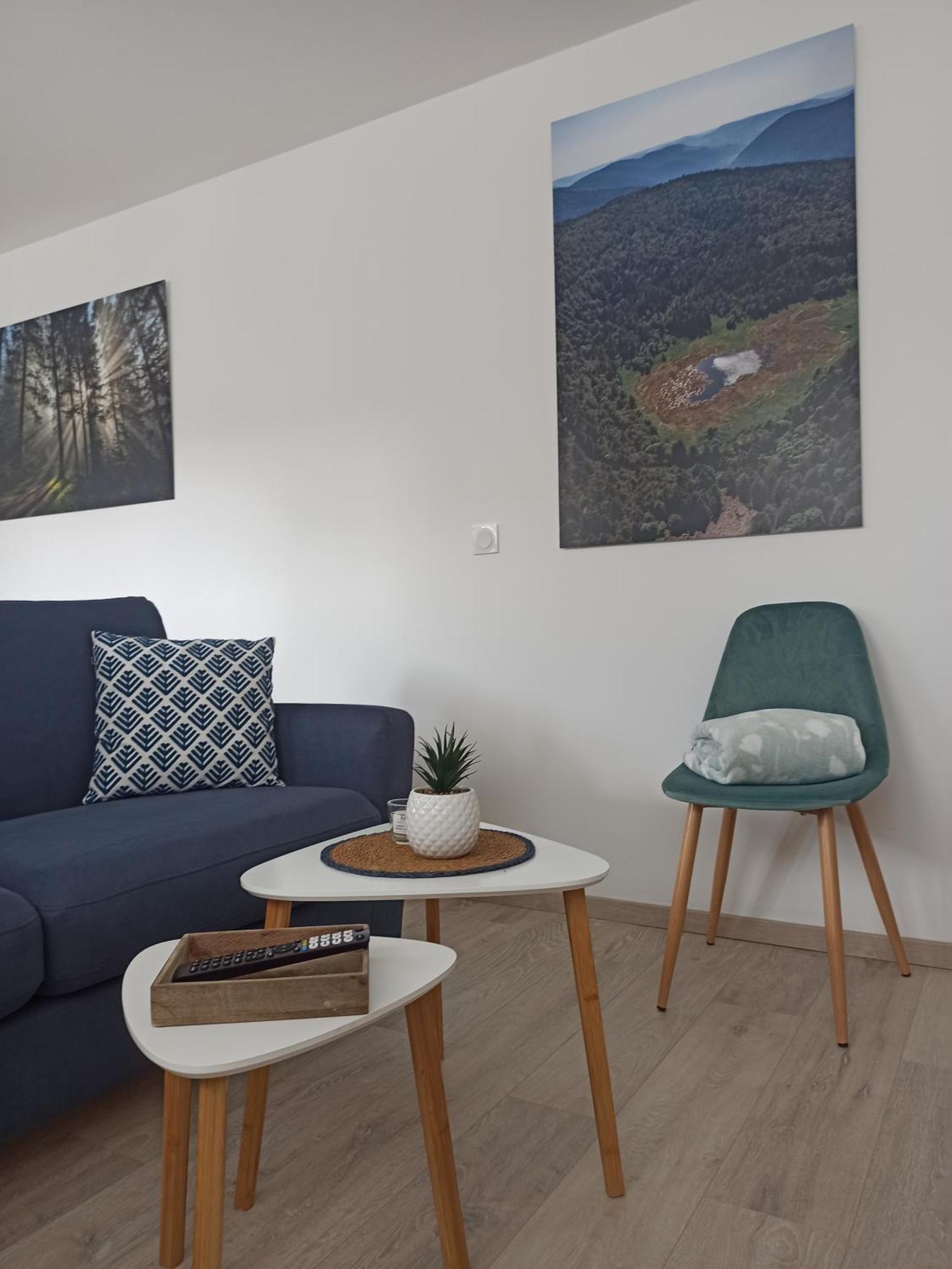 Chalet Kelly, Centre Ville / Jacuzzi / Sauna Gérardmer Zewnętrze zdjęcie
